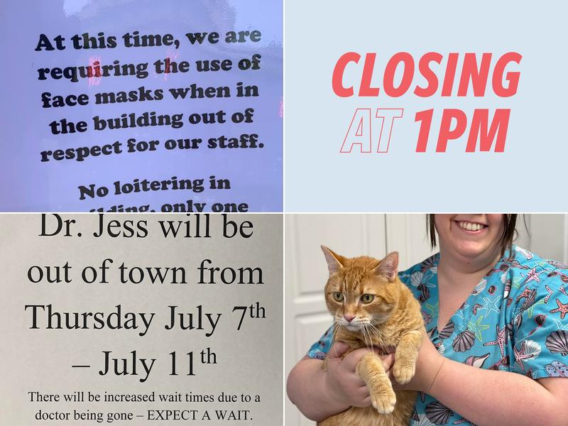 Selah Veterinary Hospital: Baek C DVM