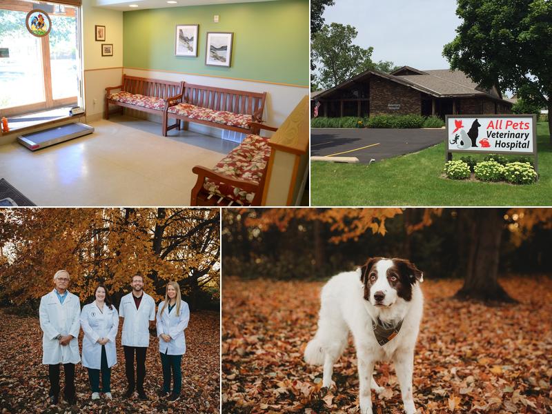 All Pets Veterinary Hospital, PC