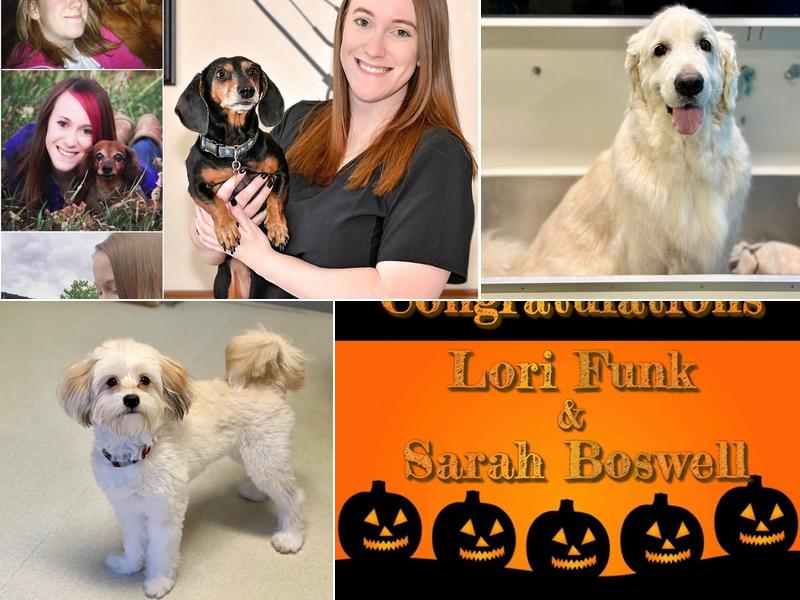 Mt Hawley Animal Clinic: Dawson Heather DVM