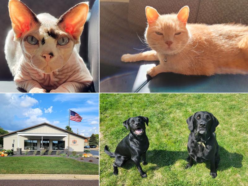 Morton Animal Hospital