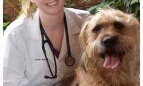 Kirk Evan DVM Springfield