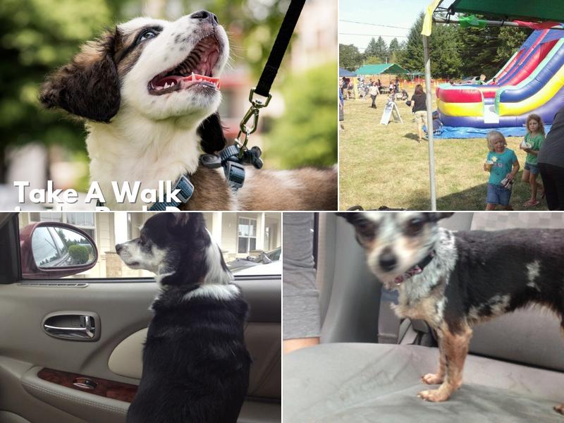 Steamboat Animal Hospital: Schultz Josh DVM