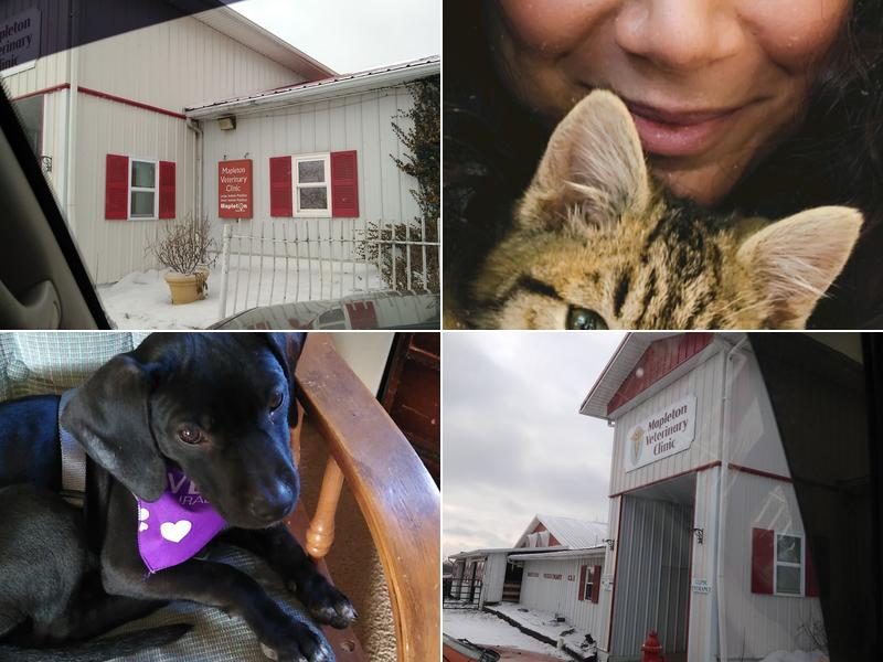 Mapleton Veterinary Clinic