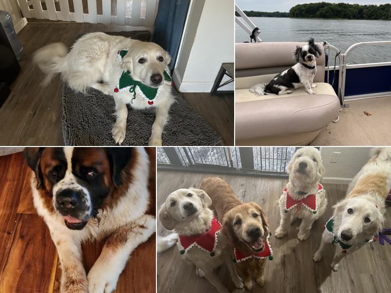 Brunswick Animal Hospital