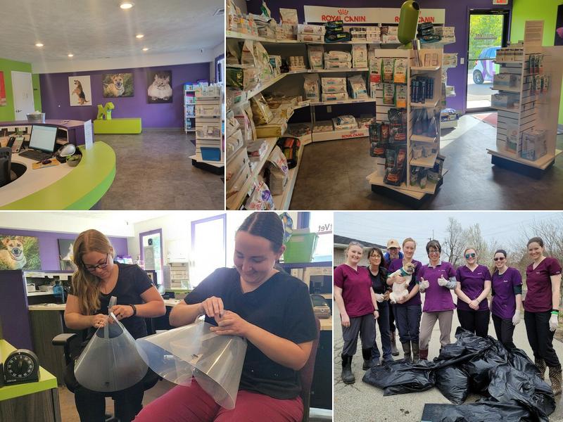 SmartVet Mobile Veterinary Service Illinois