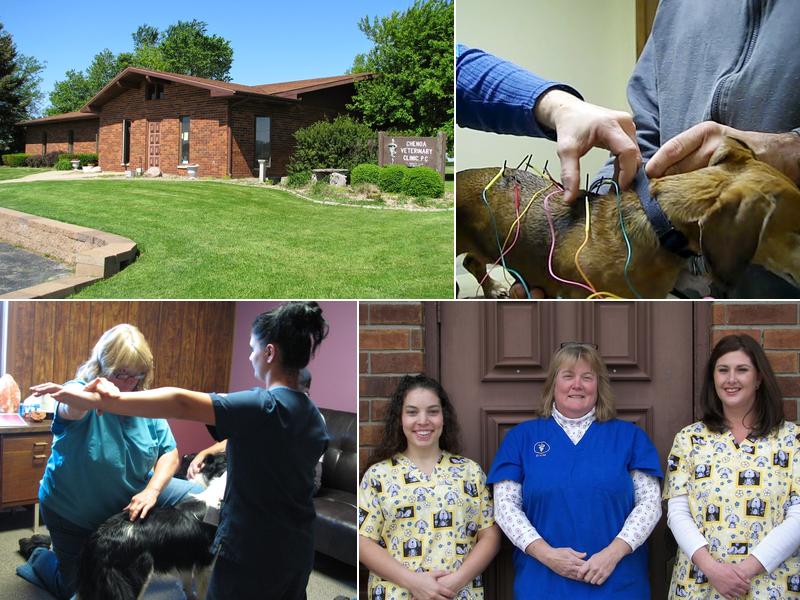 Chenoa Veterinary Clinic