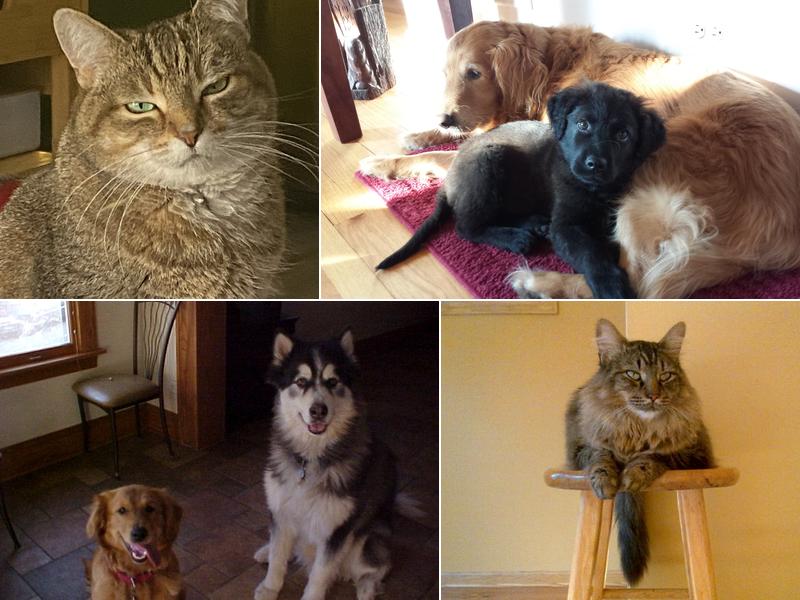 Prairie State Animal Hospital