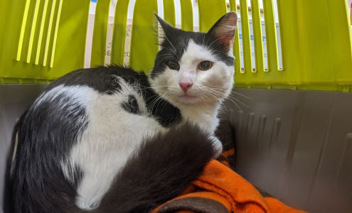 Hillside Veterinary Clinic