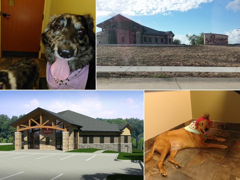 Skyview Animal Clinic