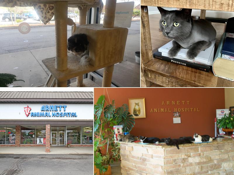 Arnett Animal Hospital