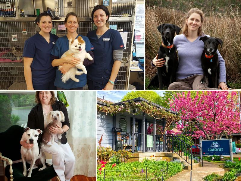 Oswego Veterinary Hospital