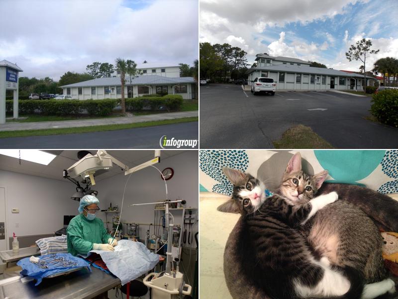 Dr. Thomas F. Gillaspie