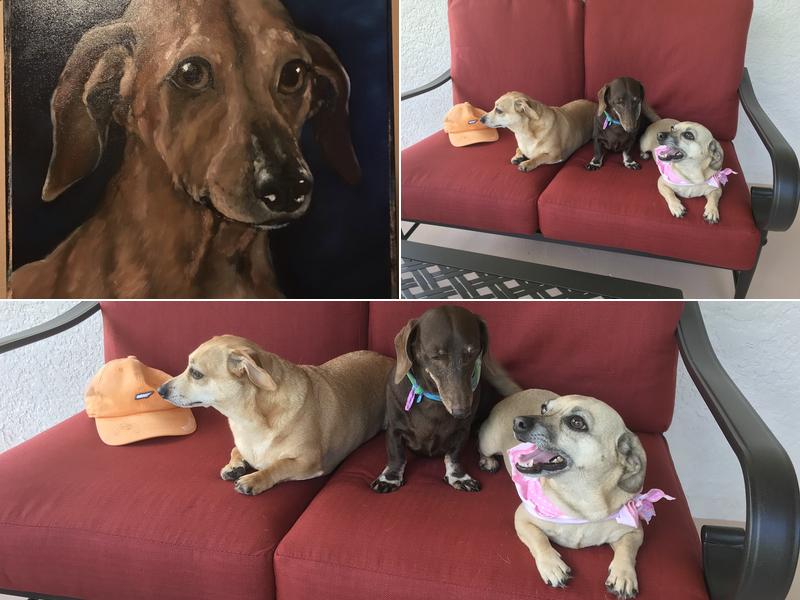 Whitney Whitford, DVM