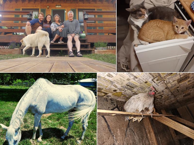 Fort Russell Veterinary Services