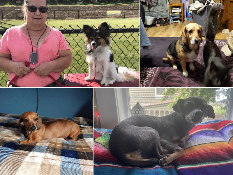 Ephrata Veterinary Clinic, PS