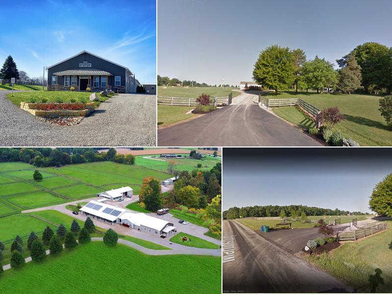 Bella Vista Equine Reproductive Services LLC