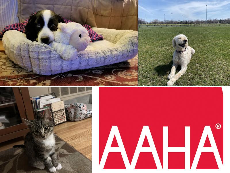 Village Veterinary Practice-Western Springs