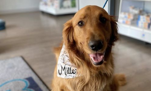 Sweetbriar Veterinary Clinic