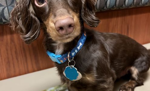 Caring Hearts Vet Clinic