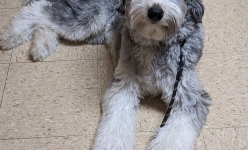 Goddard Veterinary Clinic Goddard