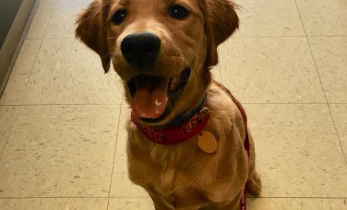 Village Animal Hospital, LLC