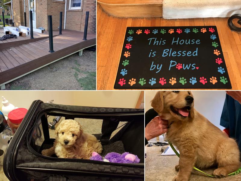 Compassionate Care Veterinary Clinic