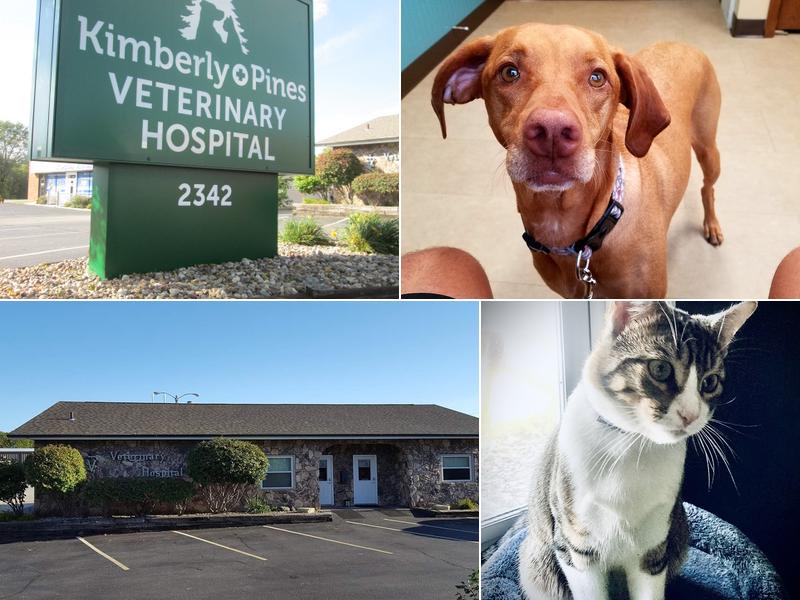 Kimberly Pines Veterinary Hospital