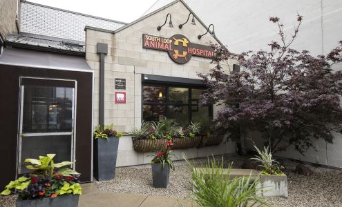 South Loop Animal Hospital