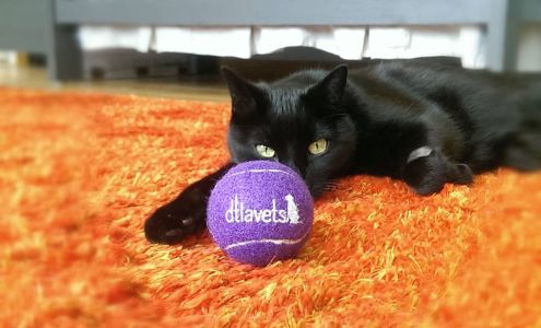 DTLAvets
