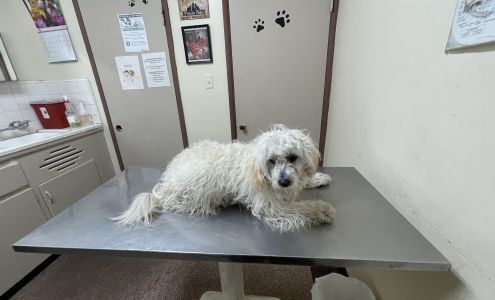 Lynwood Dog and Cat Hospital