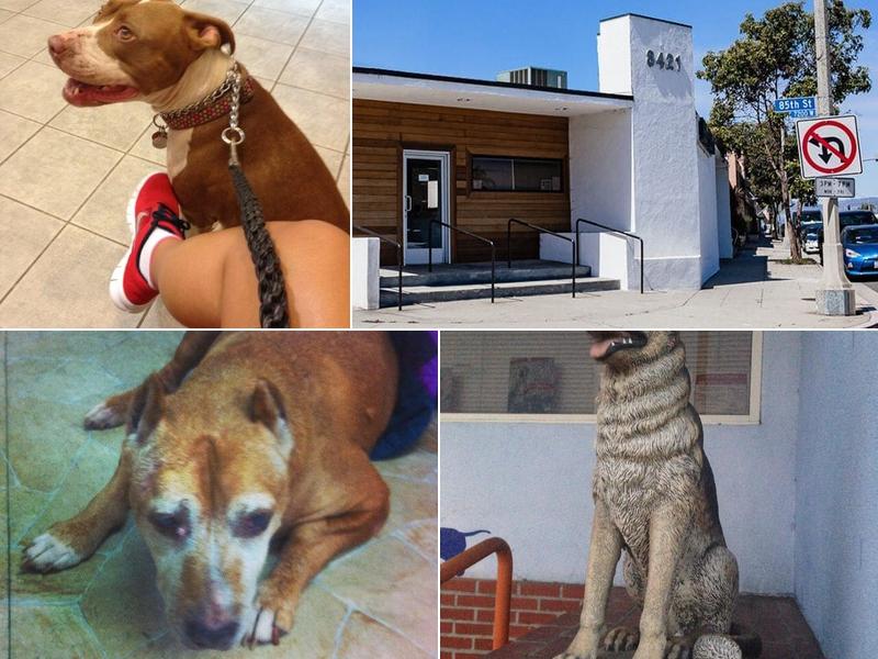 Marina Veterinary Center