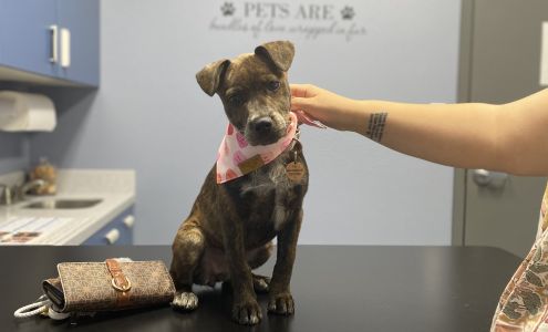 Animal Medical Ctr of Park Hills 105 Strauss Dr, Park Hills Missouri 63601