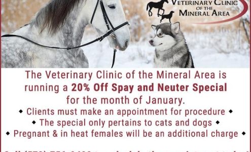Veterinary Clinic-Mineral Area: Ray Rachel DVM Farmington