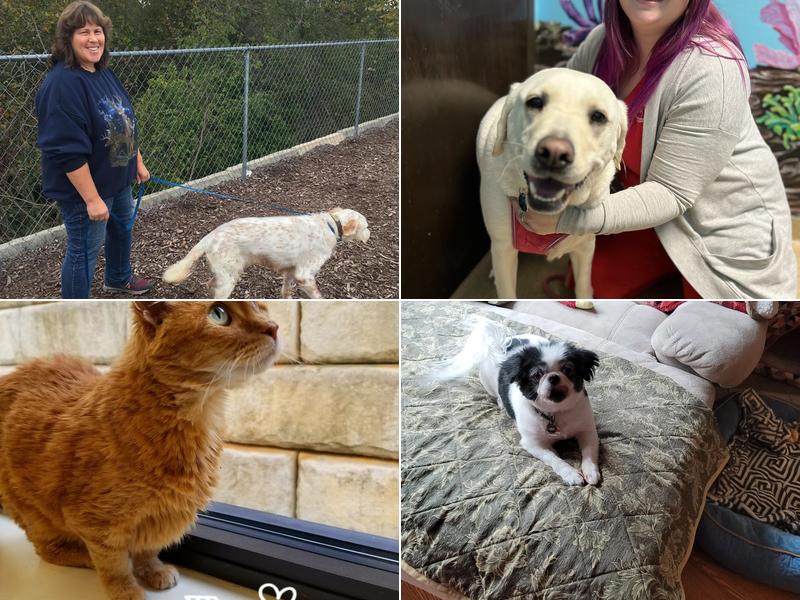 Branson Veterinary Hospital