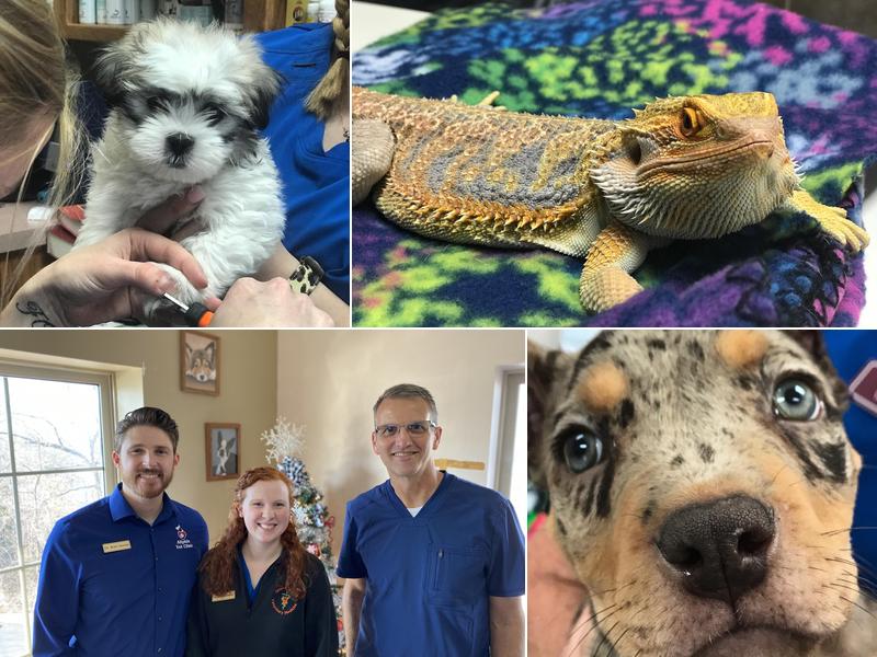 Allphin Veterinary Clinic