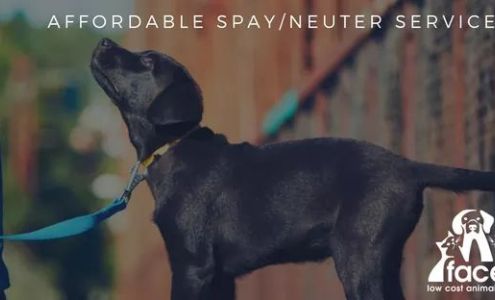 FACE Low-Cost Animal Clinic