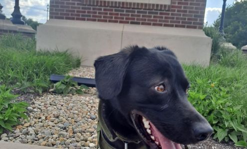 West Michigan Street Veterinary Clinic