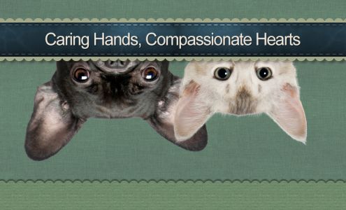 Augusta Animal Clinic 4840 W 71st St, Indianapolis Indiana 46268