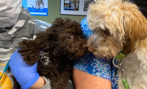 Pet Vaccination Clinic