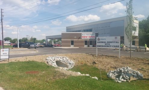 Noah's Westside Animal Hospital