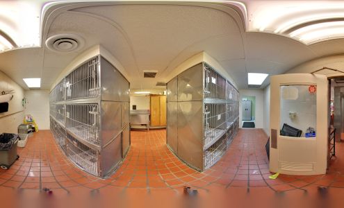 Michigan Road Animal Hospital at Crooked Creek