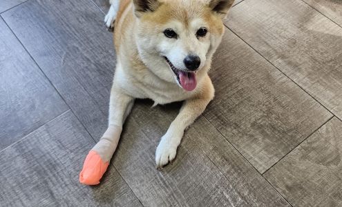 Decatur Veterinary Clinic