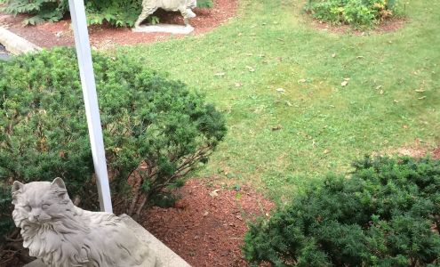 Churchman Animal Hospital