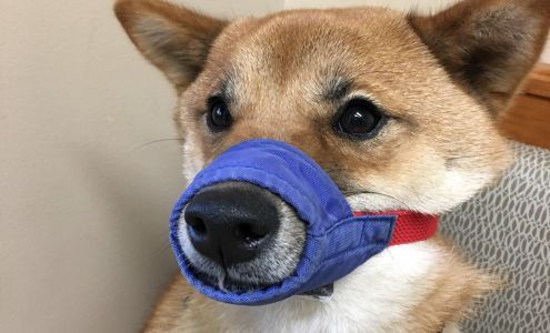 Brookville Road Animal Hospital