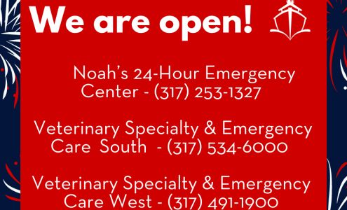 Veterinary Specialty & Emergency Care South - OPEN 24 HOURS