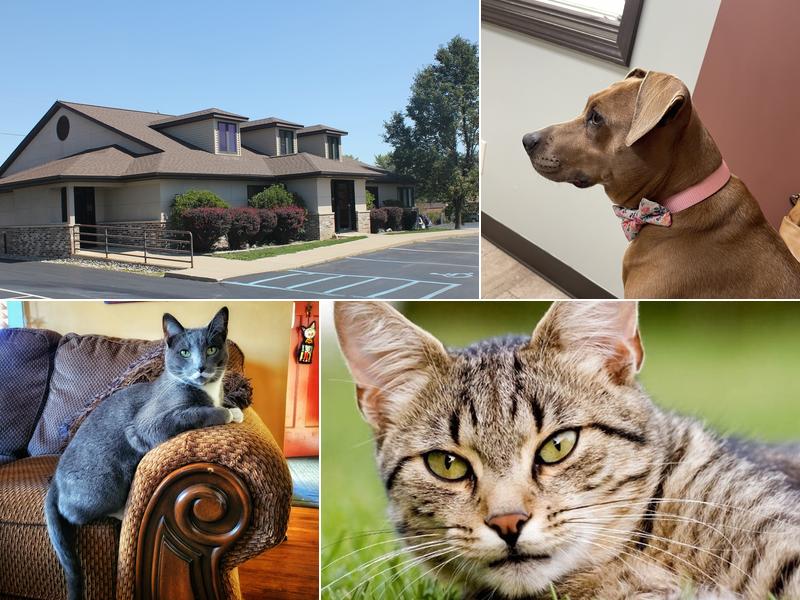 East State Veterinary Clinic