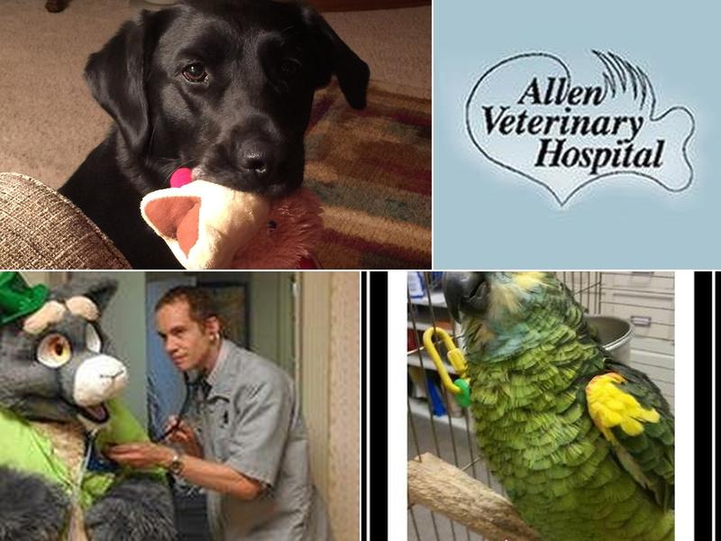 Funnell Patricia A DVM