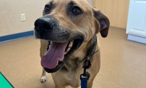 Pine Valley Veterinary Clinic: Chabot Kathryn I DVM