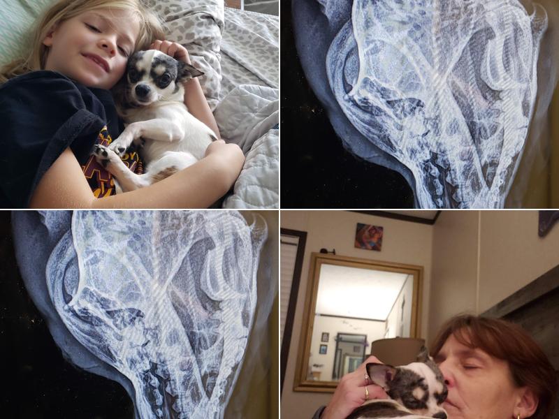 River Valley Veterinary Clinic: Helgoth Brent DVM