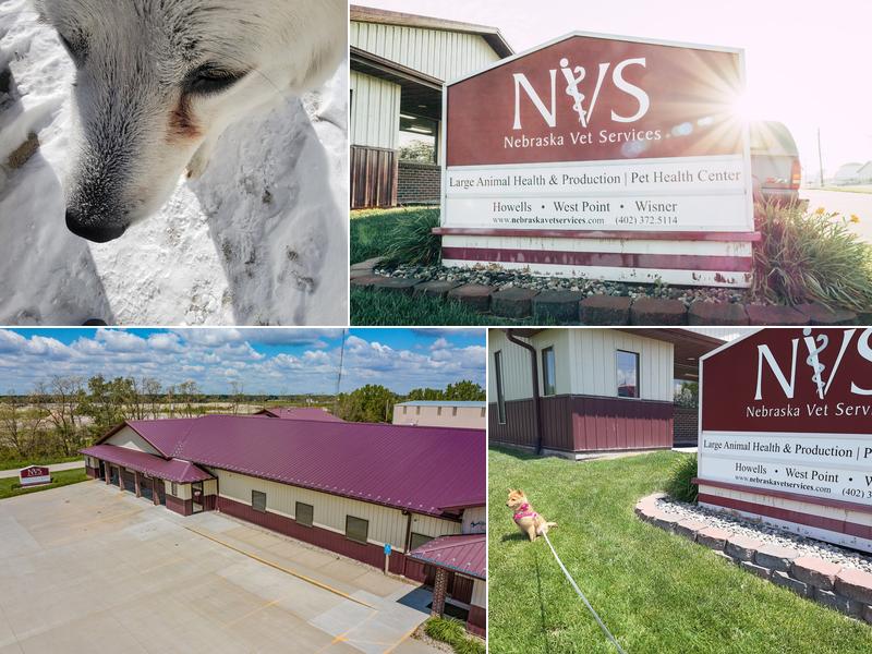 Nebraska Veterinary Services